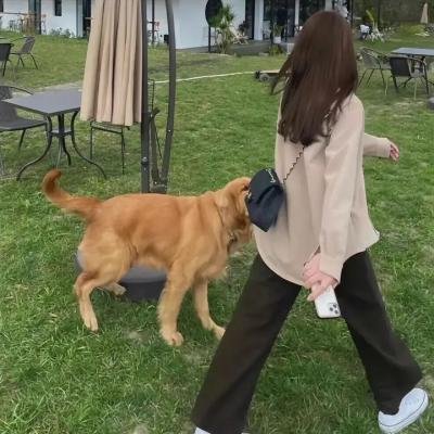 独刺